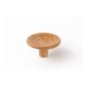 Disc