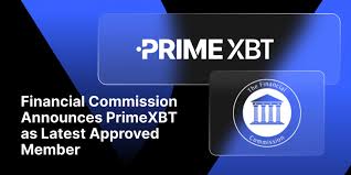 Comprehensive Guide to PrimeXBT Forex Education 5