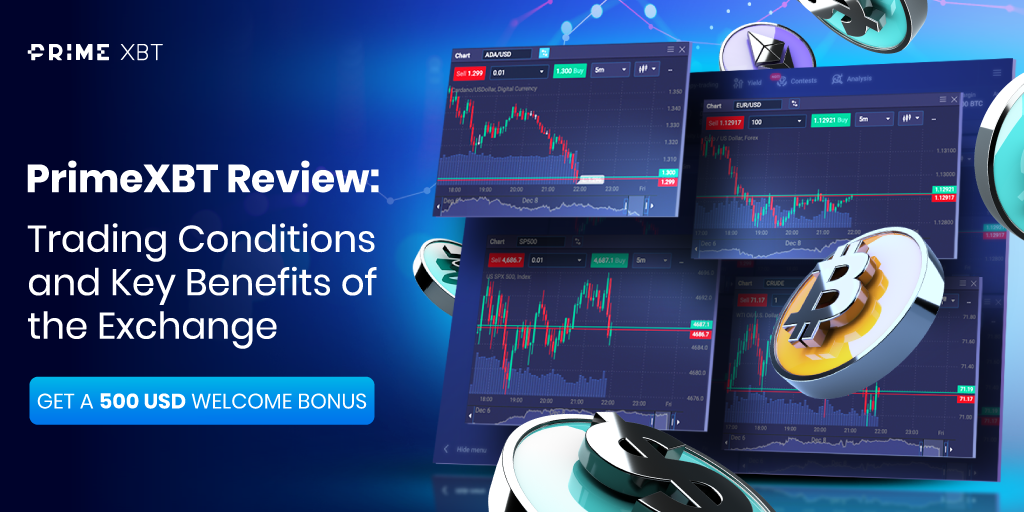 Comprehensive Guide to PrimeXBT Forex Education 5